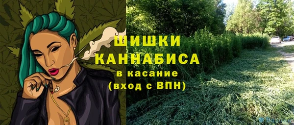 прущий лед Козловка