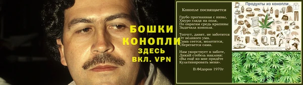 прущий лед Козловка