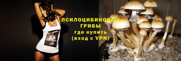 амф Корсаков