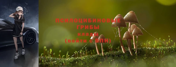 бошки Кодинск
